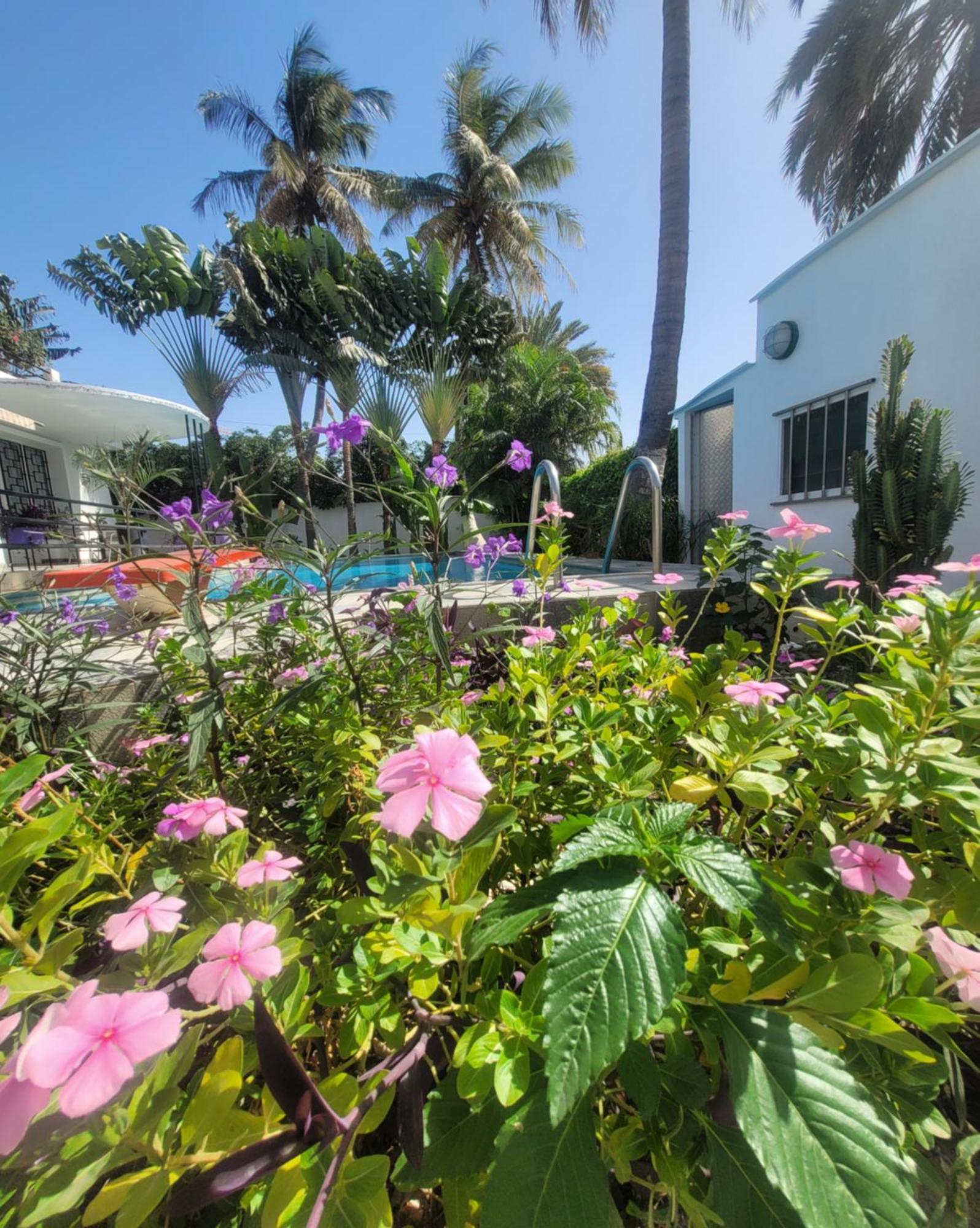 Maison D'Hotes Villa Anna דקר מראה חיצוני תמונה